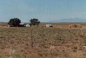 Navaho_homes_mini.jpg (7695 bytes)