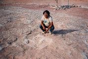Navajo_M_Chee_dinotracks_mini.jpg (10346 bytes)